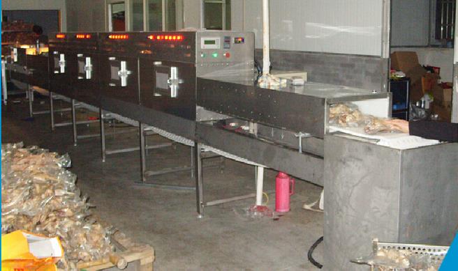 微波殺菌設(shè)備的嶄新階段